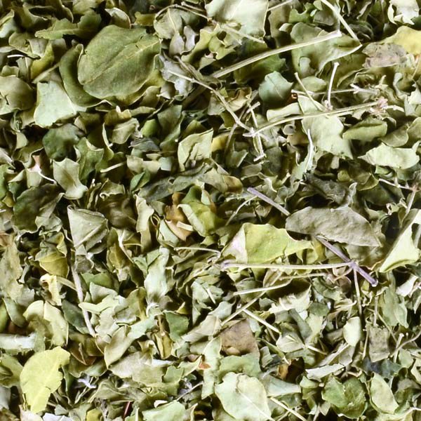 Moringa