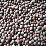 Natural Sesame Seeds