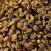 Celery Seeds