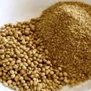 Coriander Powder