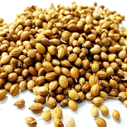Coriander Seeds