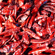 Dried Red Chili